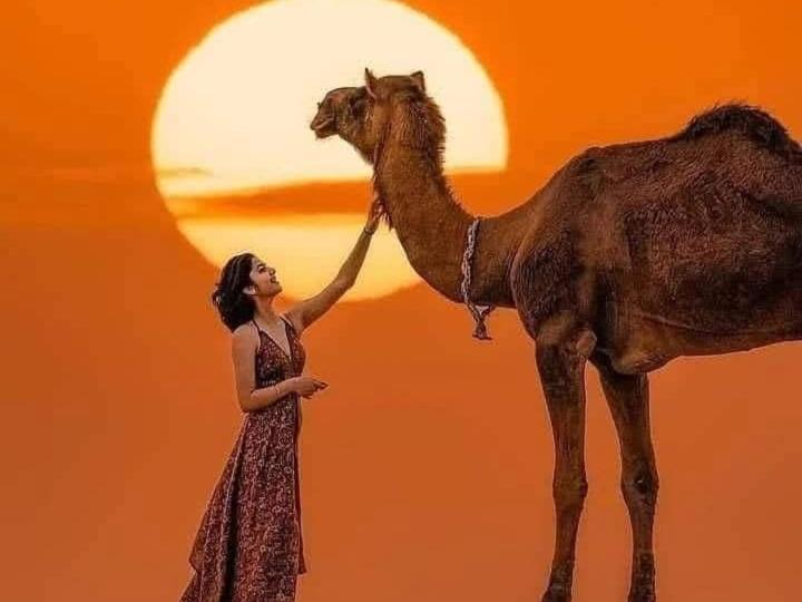 Om Luxury Resort Jaisalmer Eksteriør billede